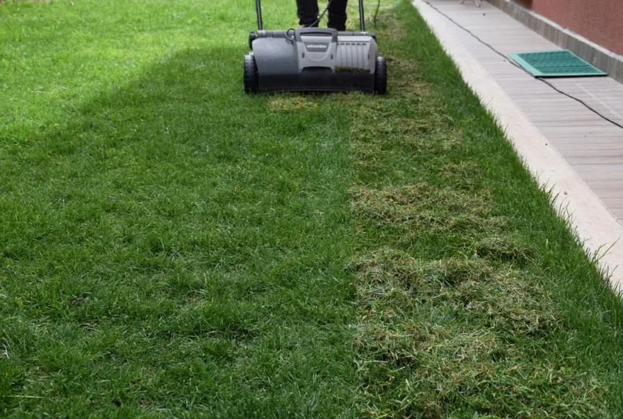 İlk baharın gelmesi ile Bakım Çalışmaları başladı.