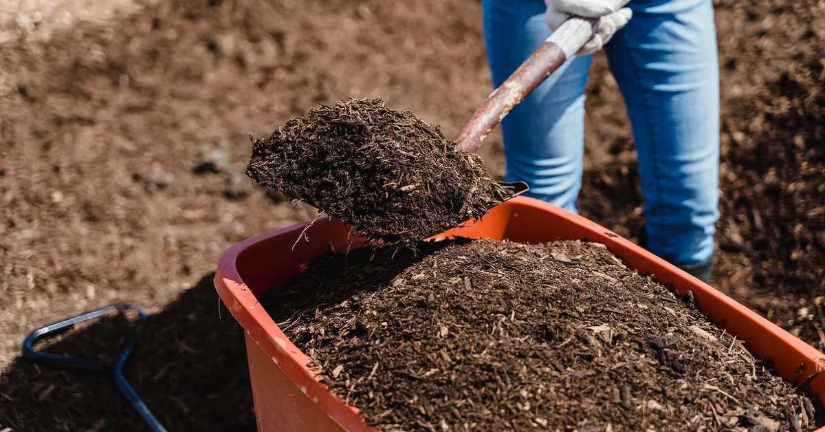 test deneme blog yazısı