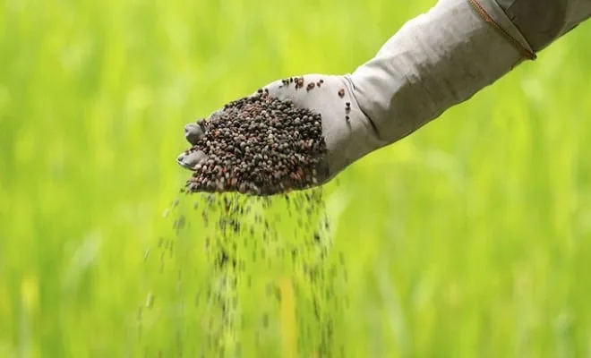 test deneme blog yazısı