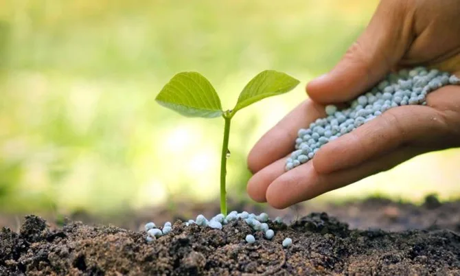 test deneme blog yazısı