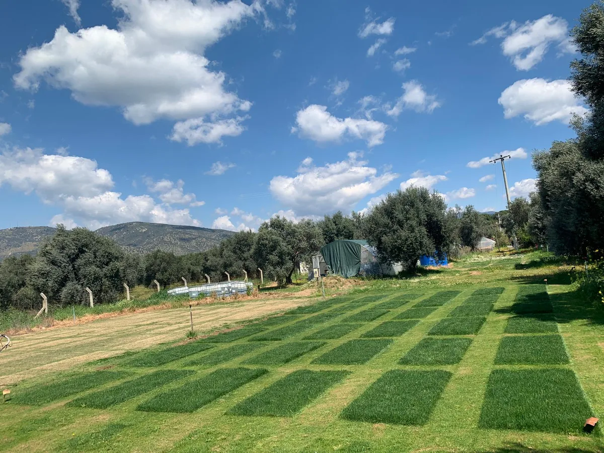 ÇİM ODAKLI AR-GE İLE GÜBRE ÇALIŞMASI